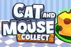 Cat and Mouse: Collect